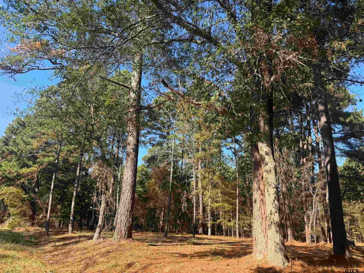 186 Susan Dr, Bullard, TX 75757 - Image #1