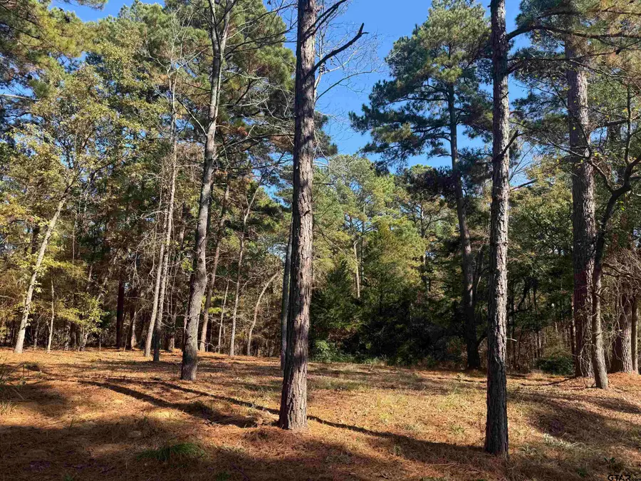 186 Susan Dr, Bullard, TX 75757 - Image #2