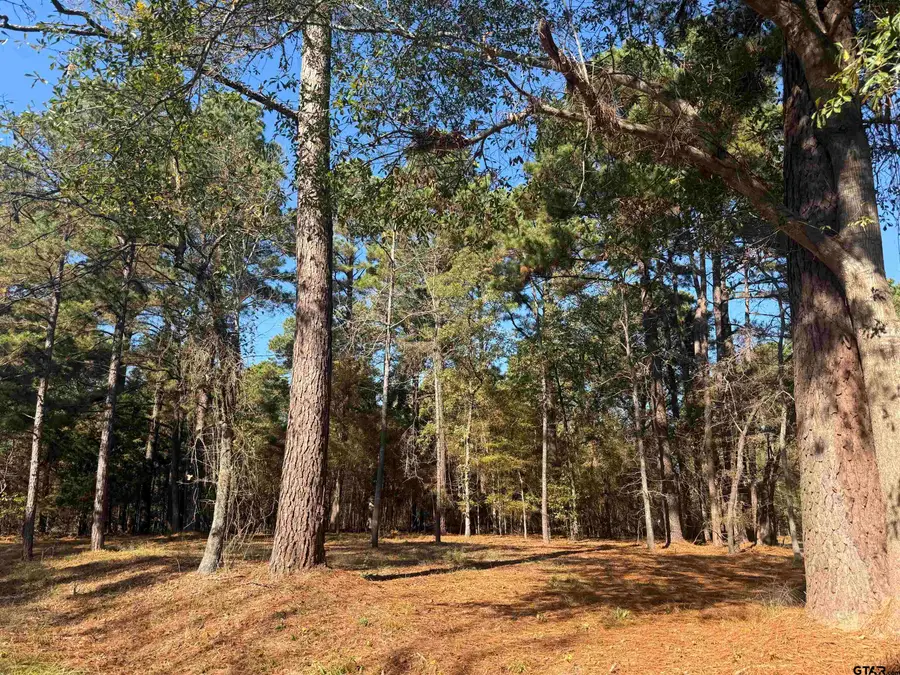 186 Susan Dr, Bullard, TX 75757 - Image #3