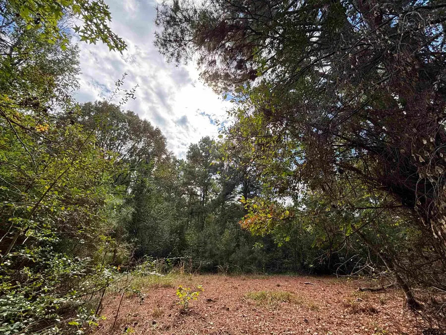 0 An County Road 4775, Palestine, TX 75803 - Image #2