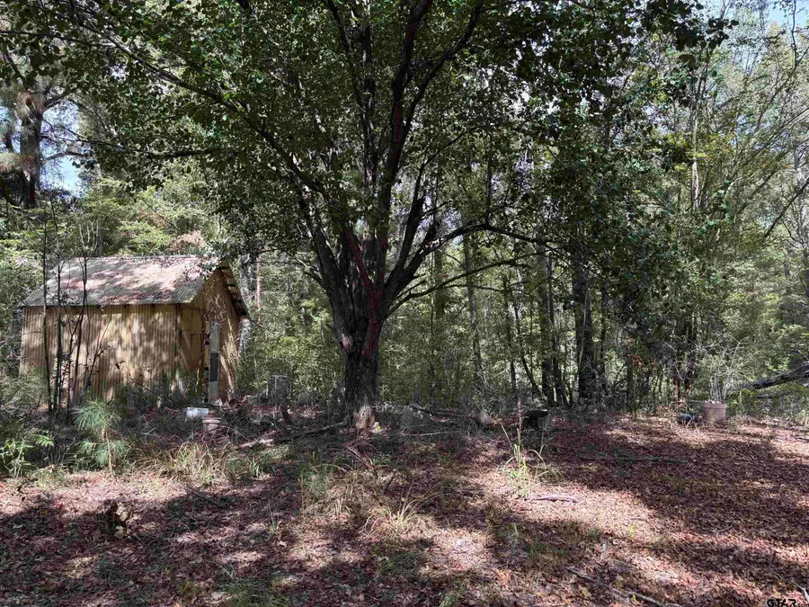 0 An County Road 4775, Palestine, TX 75803 - Image #3