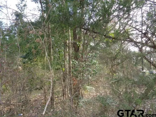 TBD CR 4870, Winnsboro, TX 75494 - Image #1