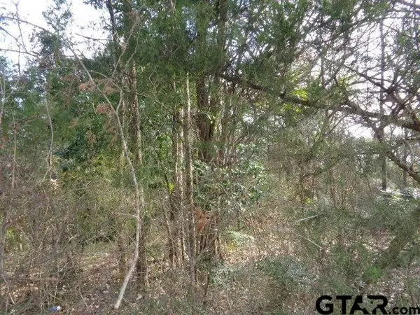 TBD CR 4870, Winnsboro, TX 75494