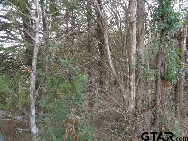 TBD CR 4870, Winnsboro, TX 75494 - Image #2