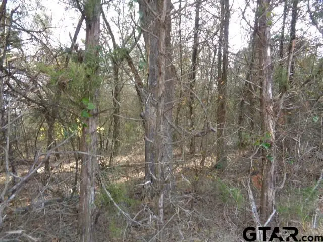 TBD CR 4870, Winnsboro, TX 75494 - Image #3