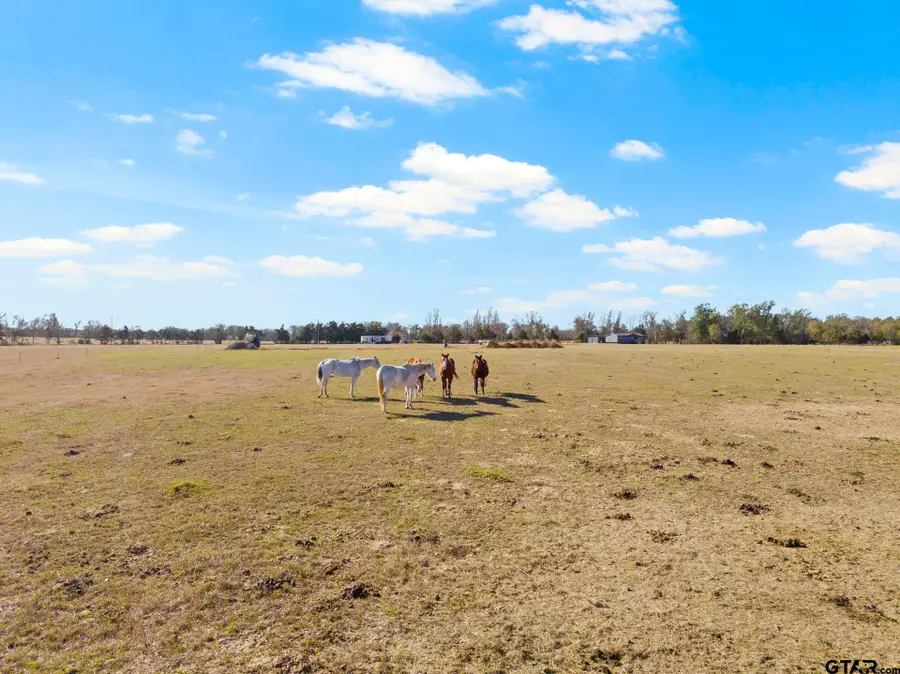 TBD County Road 4878, Winnsboro, TX 75494 - Image #2