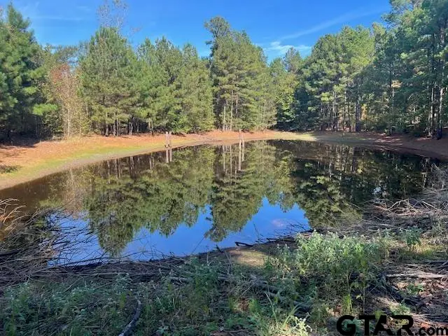 000 FM 14, Hawkins, TX 75765 - Image #1