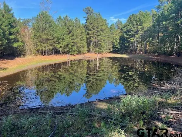 000 FM 14, Hawkins, TX 75765