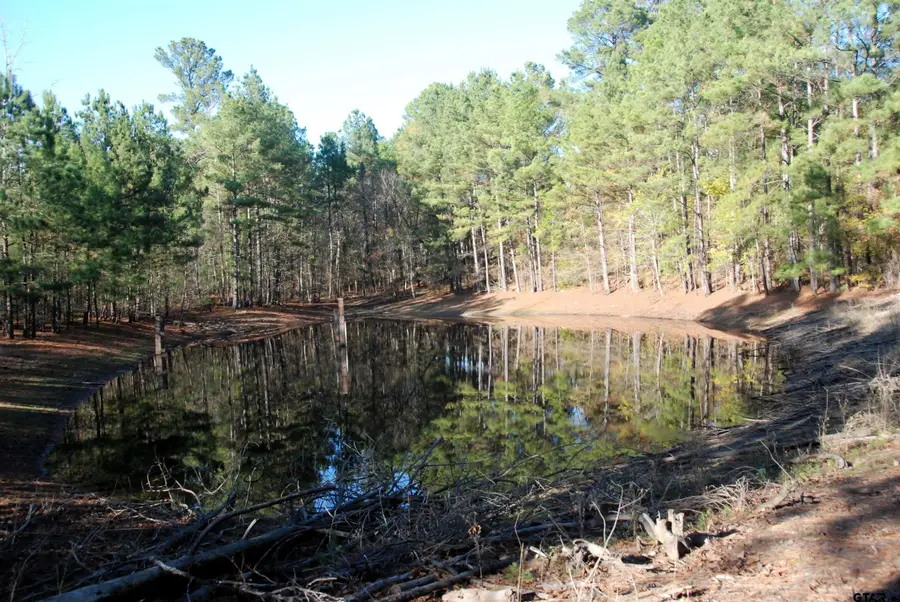 000 FM 14, Hawkins, TX 75765 - Image #2