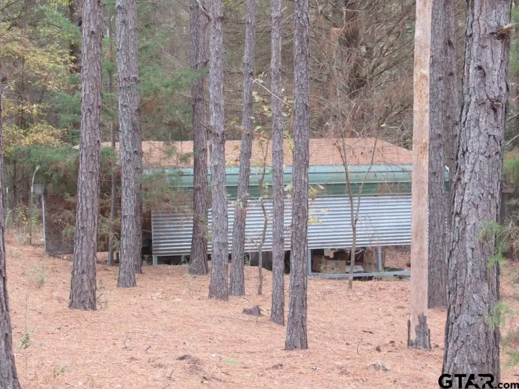 303 CR 2105, Palestine, TX 75803 - Image #1