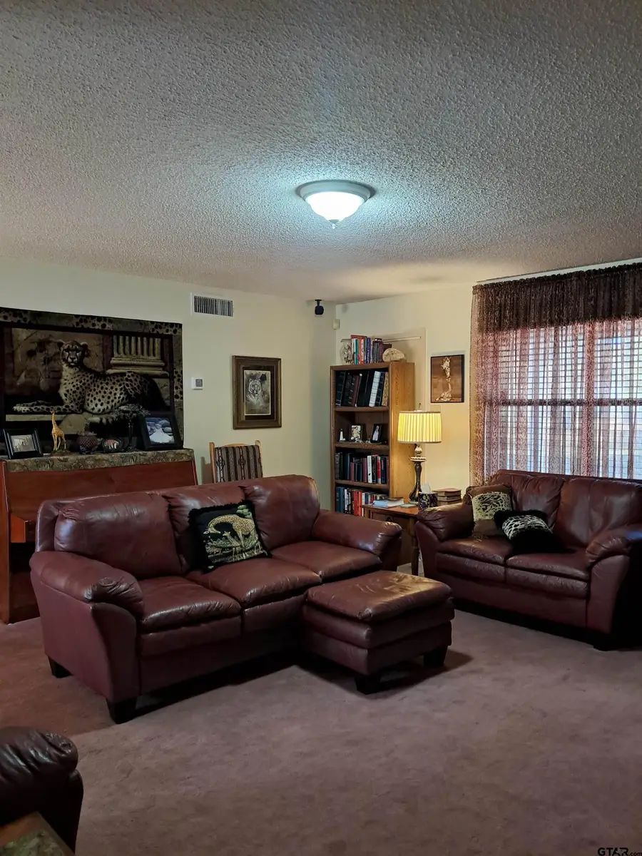 3781 Farm to Market 2869, Hawkins, TX 75765 - Image #3