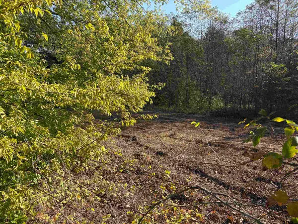 TBD FM 607, Brownsboro, TX 75756