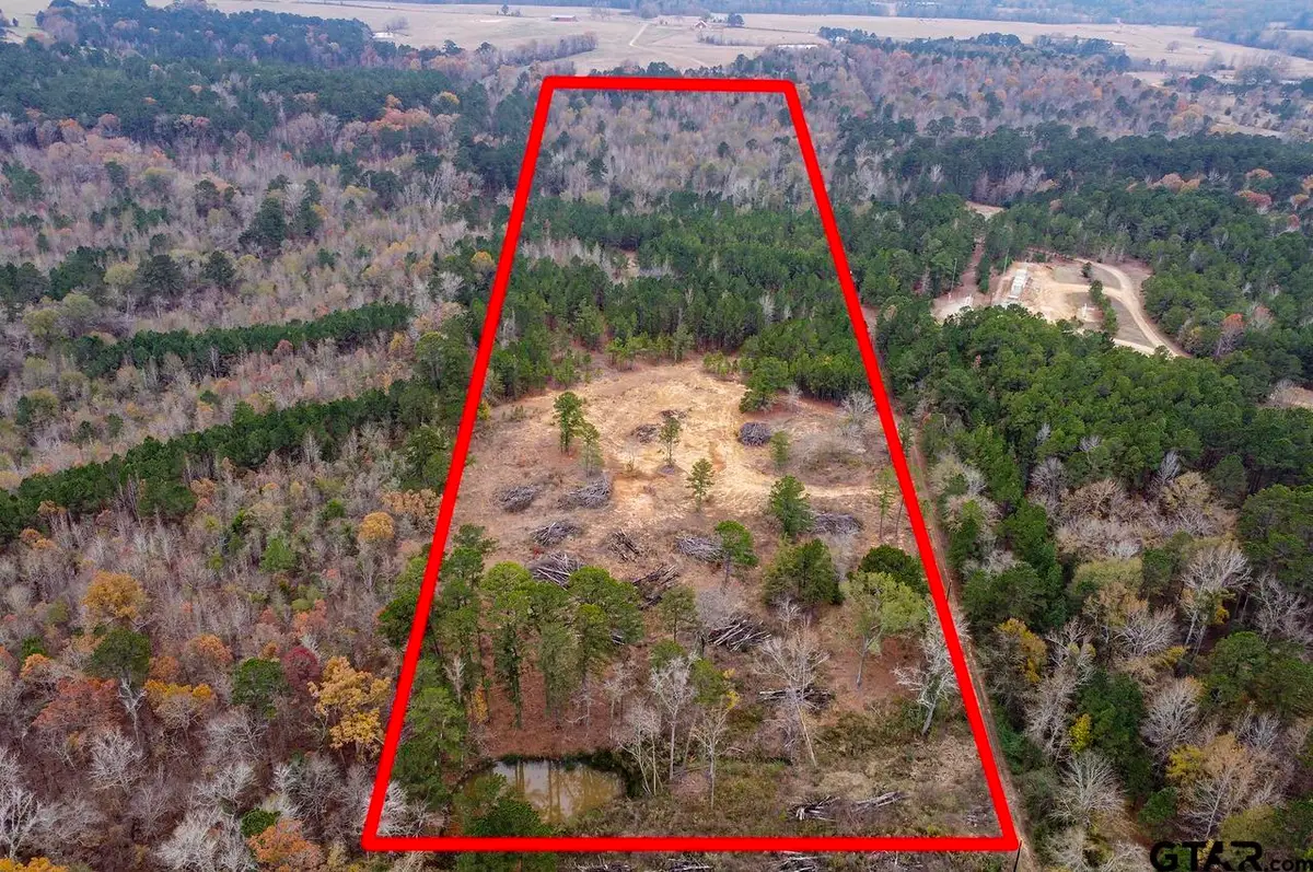 21404 County Road 294, Arp, TX 75750 - Image #1