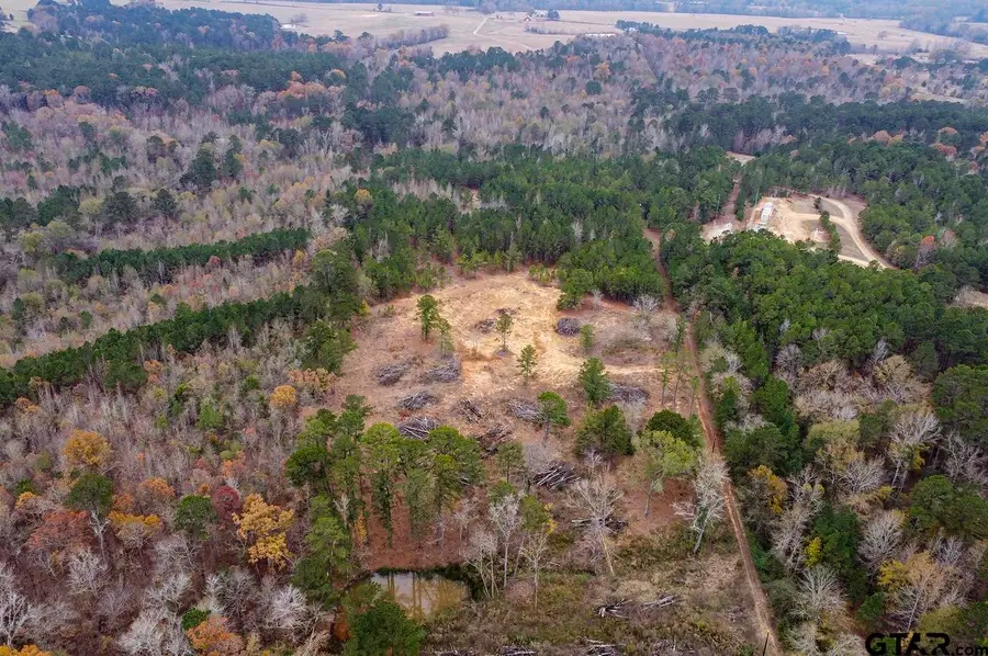 21404 County Road 294, Arp, TX 75750 - Image #2