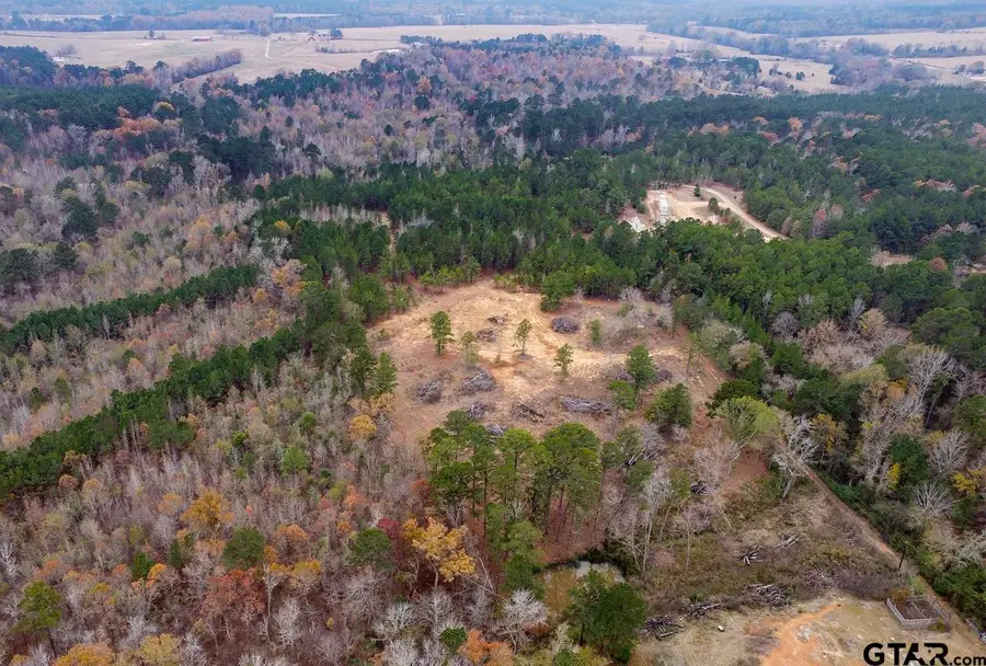 21404 County Road 294, Arp, TX 75750 - Image #3