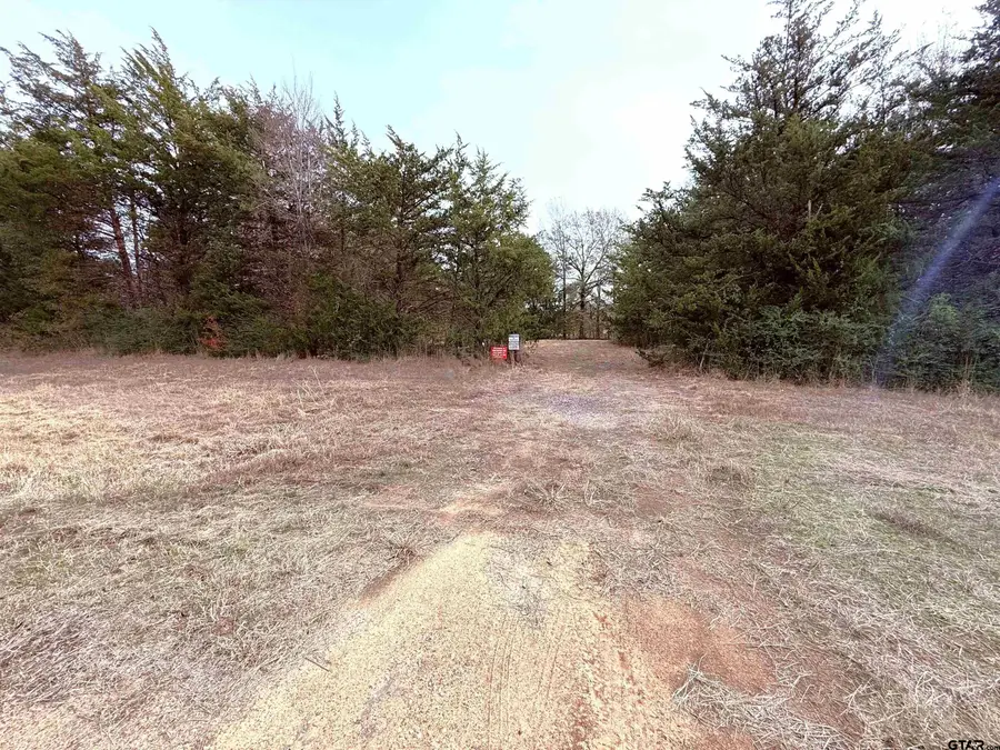 TBD Hwy 37, Winnsboro, TX 75494 - Image #2