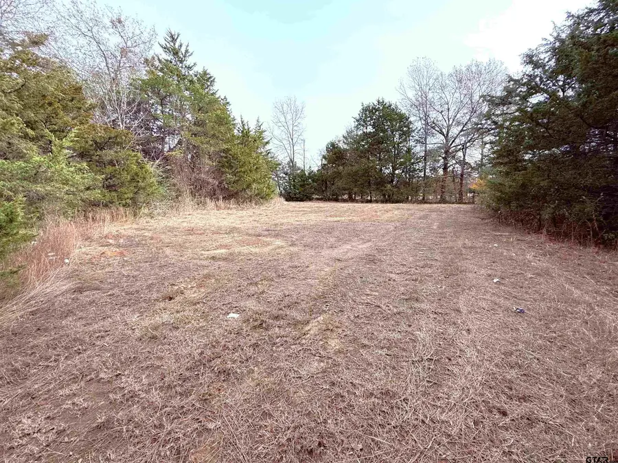 TBD Hwy 37, Winnsboro, TX 75494 - Image #3