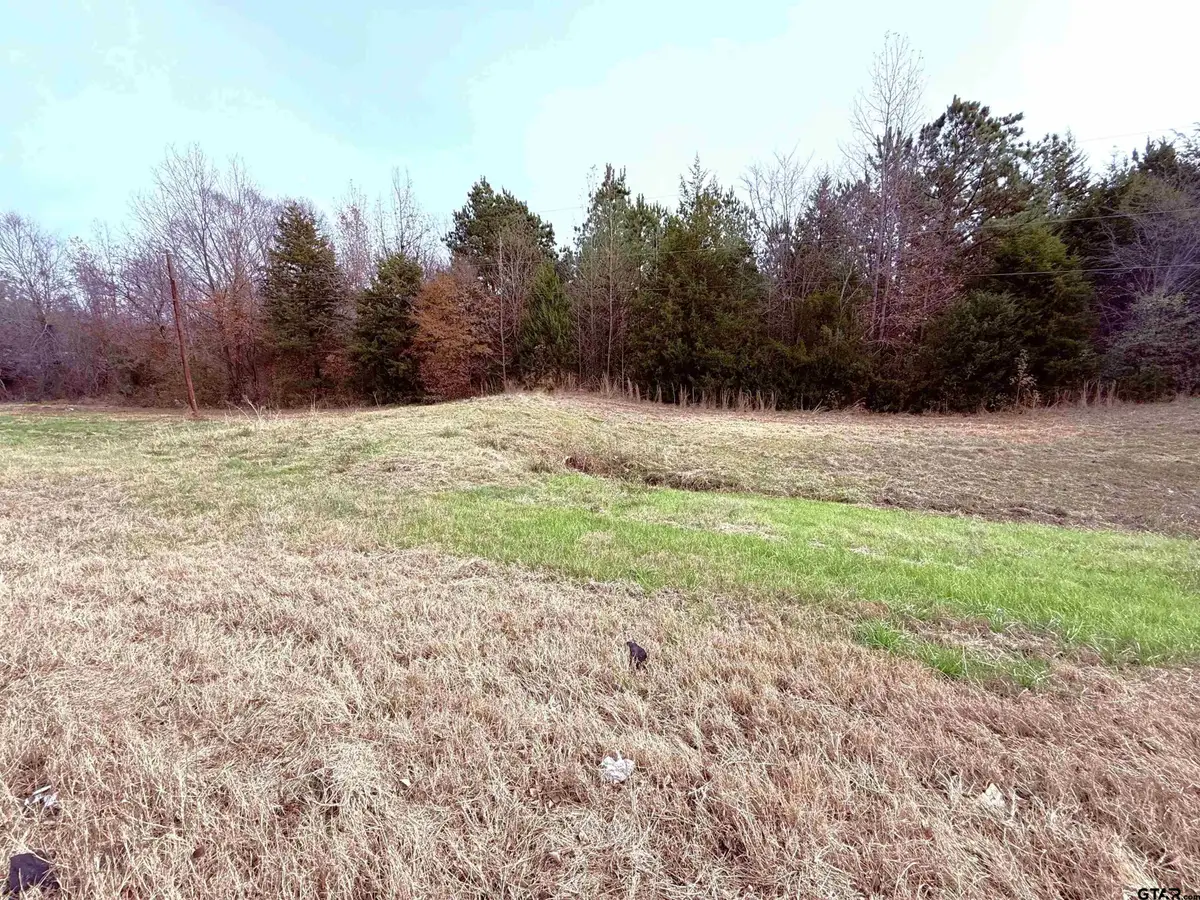 TBD Hwy 37, Winnsboro, TX 75494 - Image #1