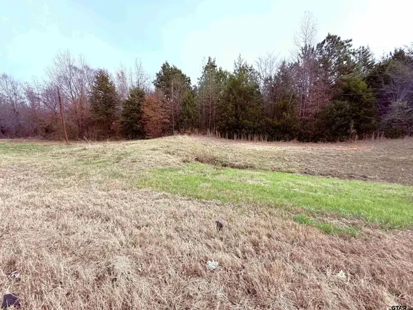 TBD Hwy 37, Winnsboro, TX 75494