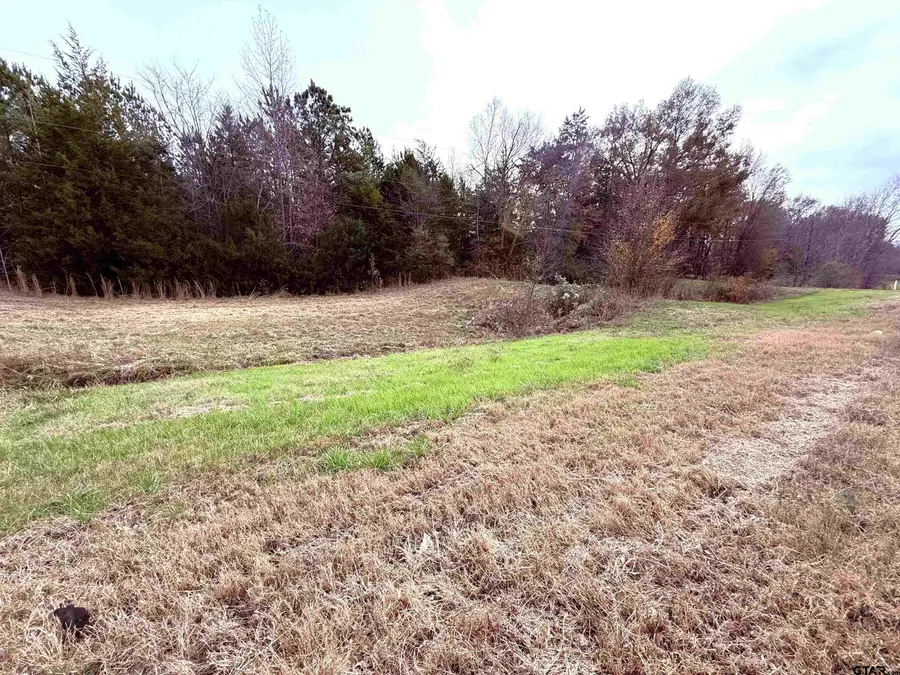 TBD Hwy 37, Winnsboro, TX 75494 - Image #2