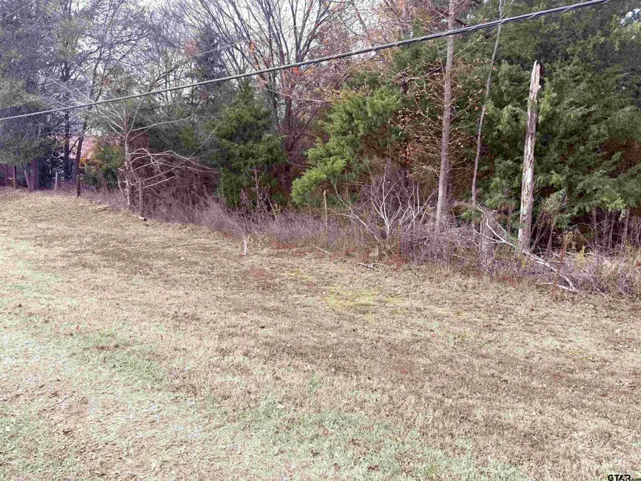TBD Hwy 37, Winnsboro, TX 75494 - Image #3
