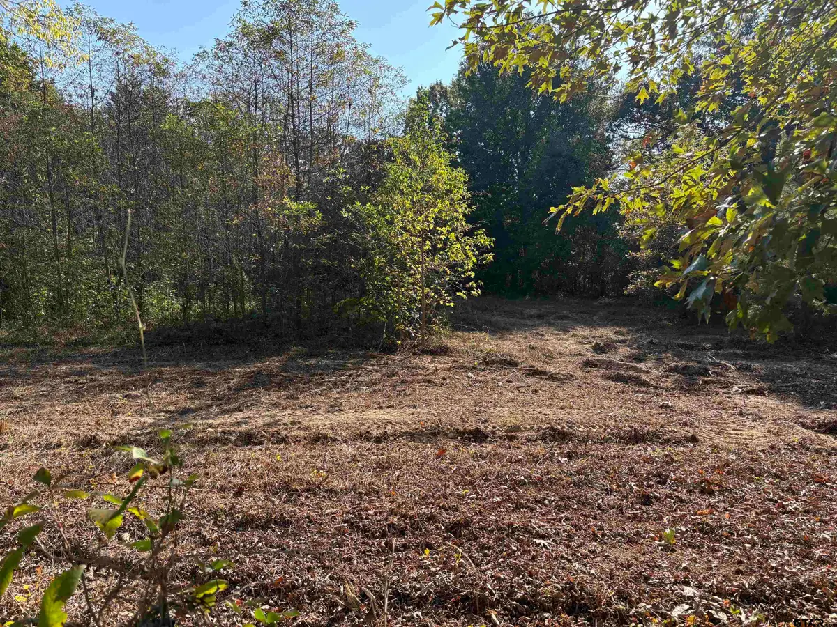 TBD FM 607, Brownsboro, TX 75756 - Image #1