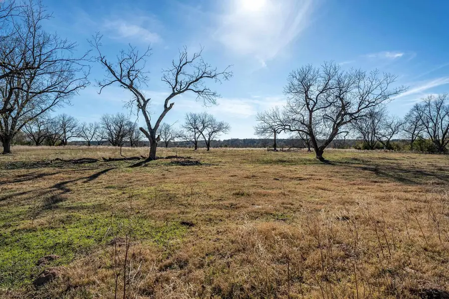 14461 County Road 46 (Lot 4), Tyler, TX 75704 - Image #3