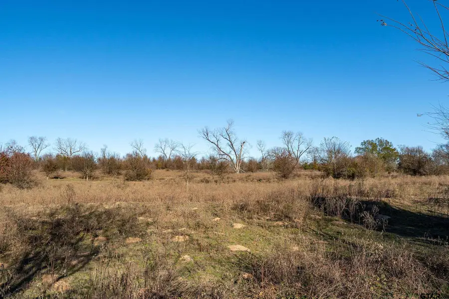 14461 County Road 46 (Lot 2), Tyler, TX 75704 - Image #2