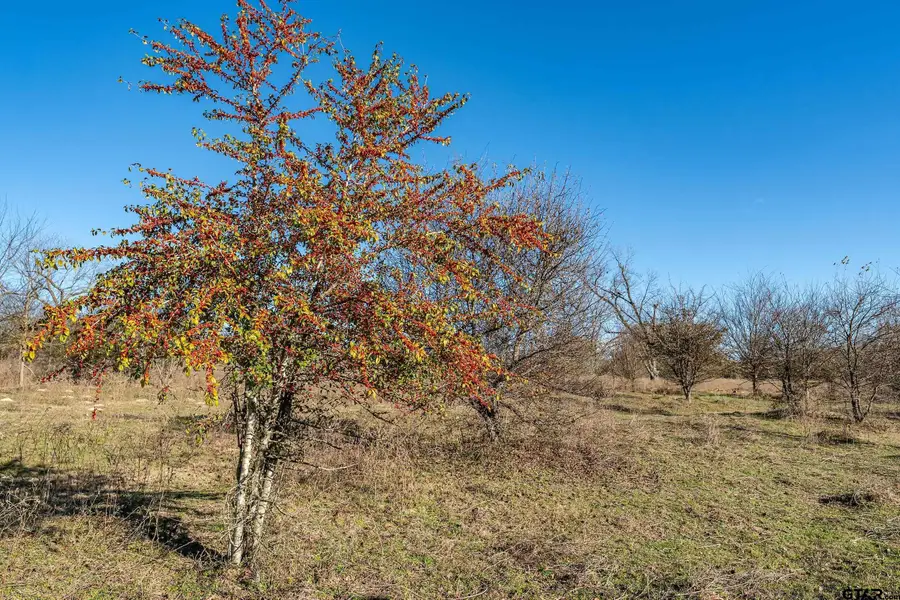 14461 County Road 46 (Lot 2), Tyler, TX 75704 - Image #3