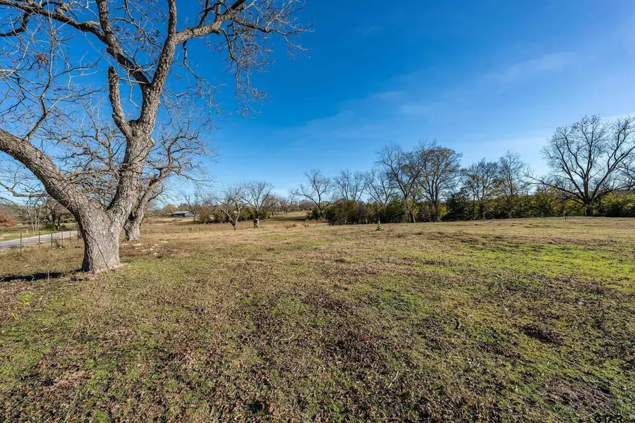 14461 County Road 46 (Lot 3), Tyler, TX 75704 - Image #2