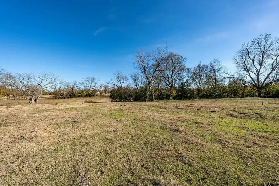 14461 County Road 46 (Lot 3), Tyler, TX 75704 - Image #3