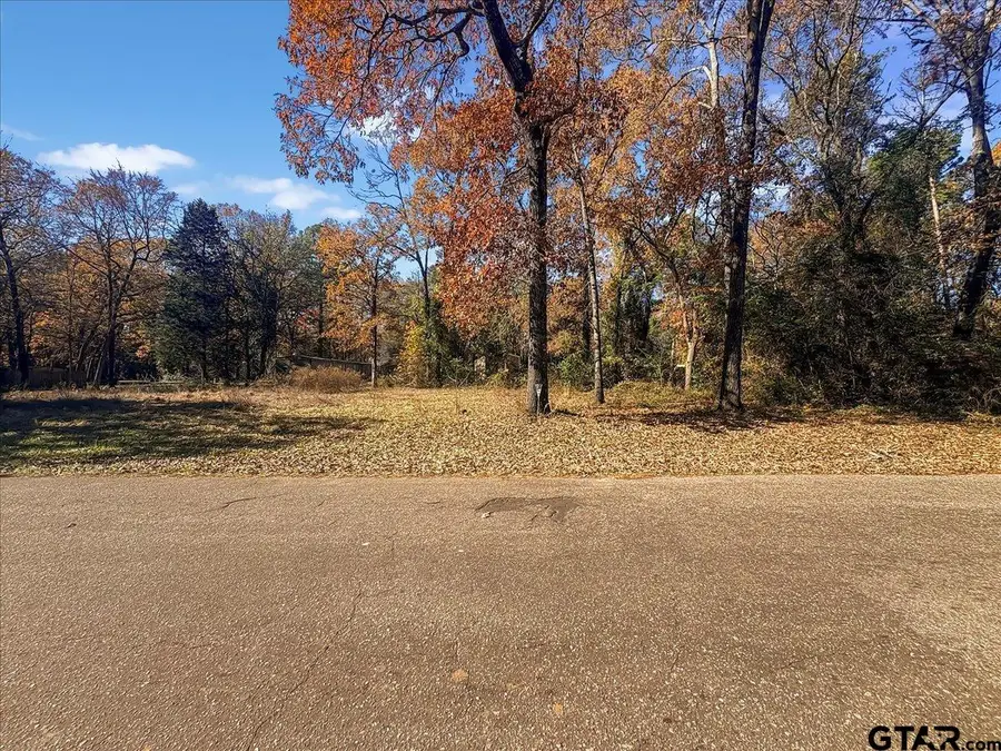 704 Caroline Bend, Bullard, TX 75757 - Image #3