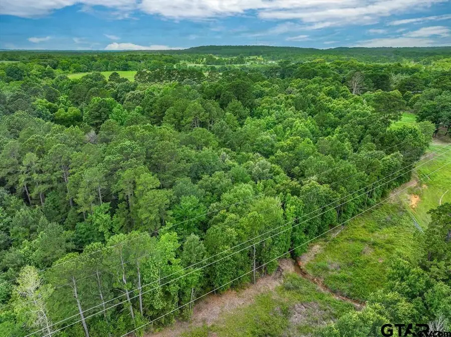 TBD CR 2177, Troup, TX 75789 - #3