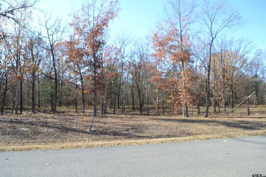 Lot 34 Angler Shores Dr., Yantis, TX 75497 - Image #2
