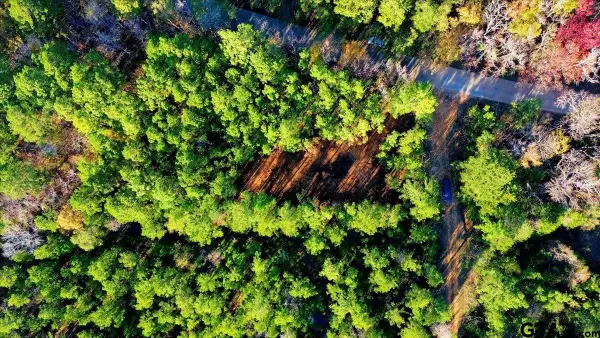 222 S Main Street, Arp, TX 75750