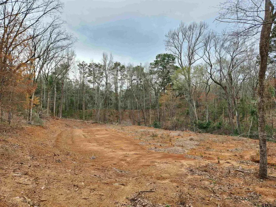 19387 & 19365 CR 4125, Lindale, TX 75771 - Image #2