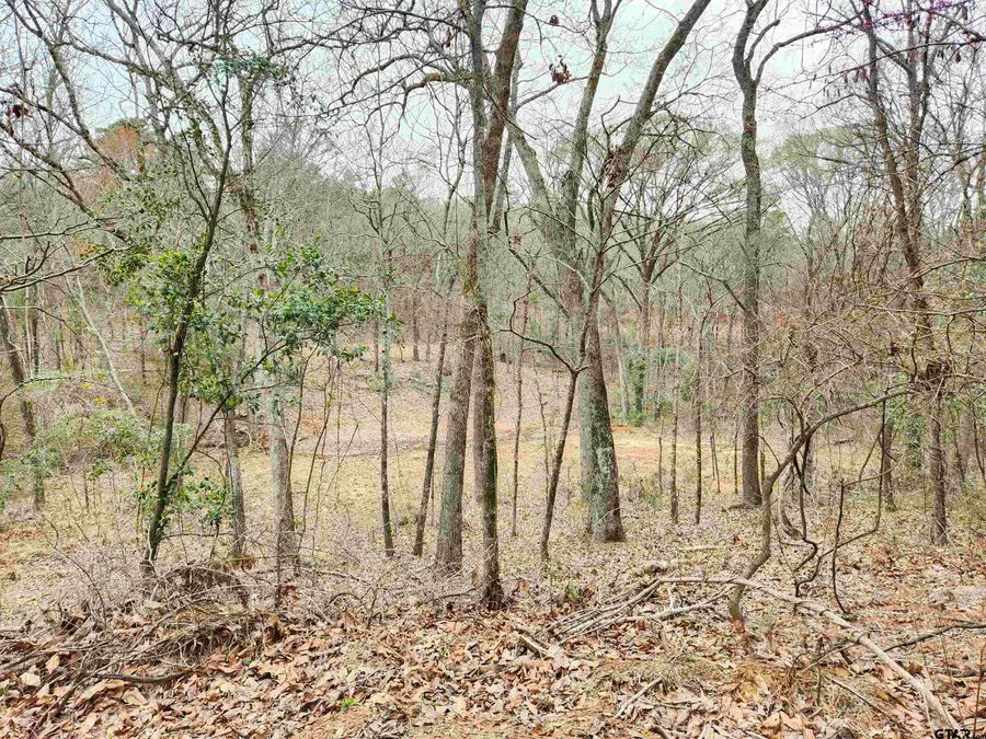 19387 & 19365 CR 4125, Lindale, TX 75771 - Image #3