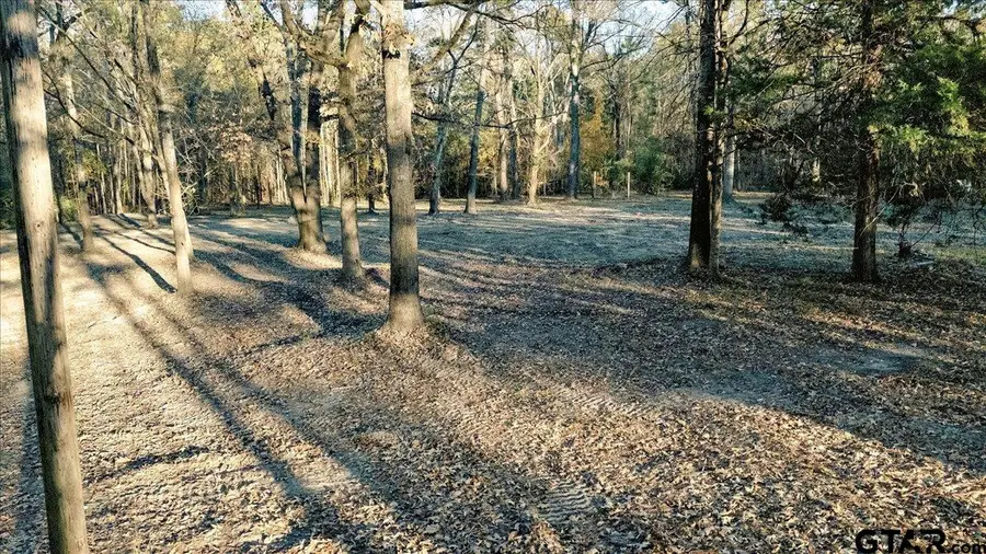 1936 FM 2908, Tyler, TX 75705 - Image #2