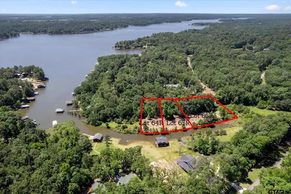 66R King Frederick Court, Scroggins, TX 75480