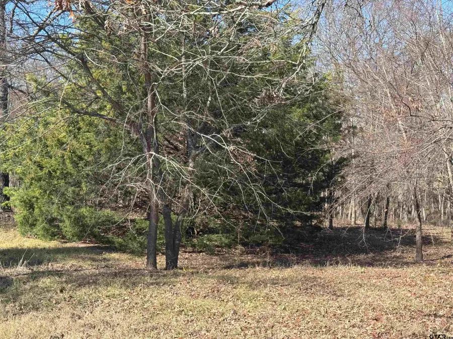 23240 Bridle View Dr, Lindale, TX 75771 - Image #2