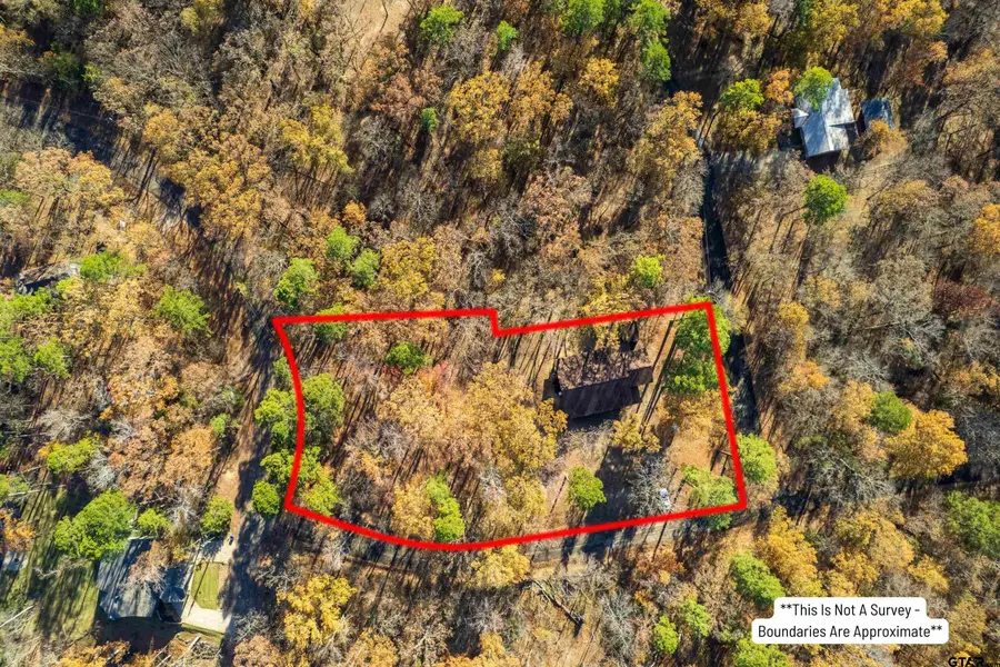 150 Mourning Dove Ln., Mount Vernon, TX 75457 - Image #3