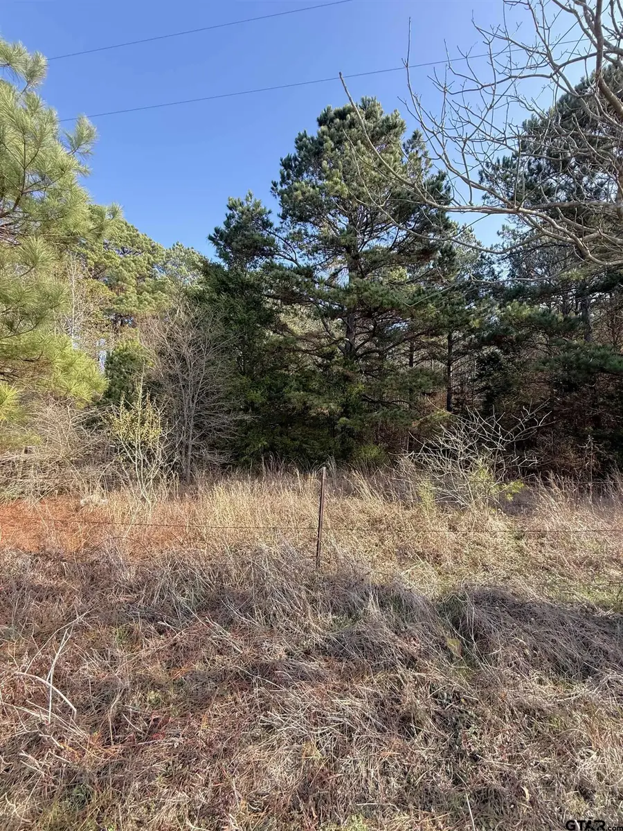 TBD FM 2888, Marietta, TX 75566 - Image #2
