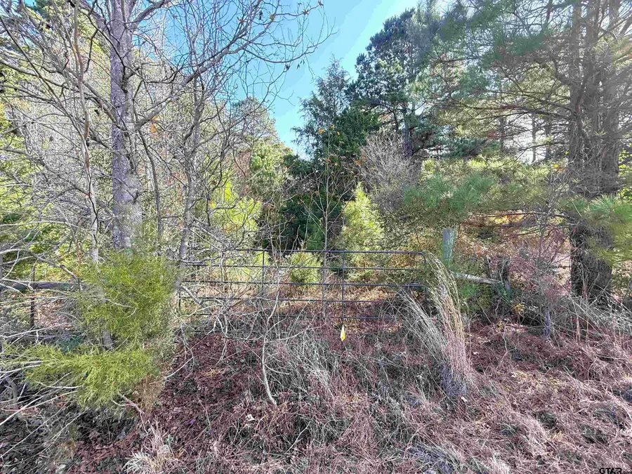 TBD FM 2888, Marietta, TX 75566 - Image #3
