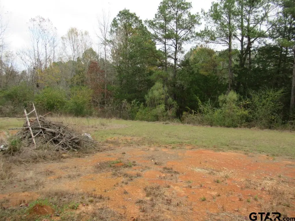 7079 241 S, Alto, TX 75925 - Image #1