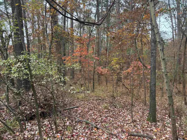 TBD Porsche Dr, Flint, TX 75762