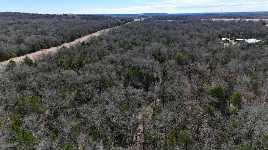 TBD N Cr 1200, Athens, TX 75751 - #3