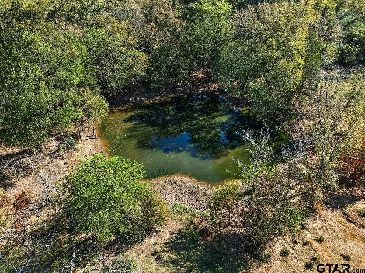 TBD 38.79-acres, Alto, TX 75925 - Image #1