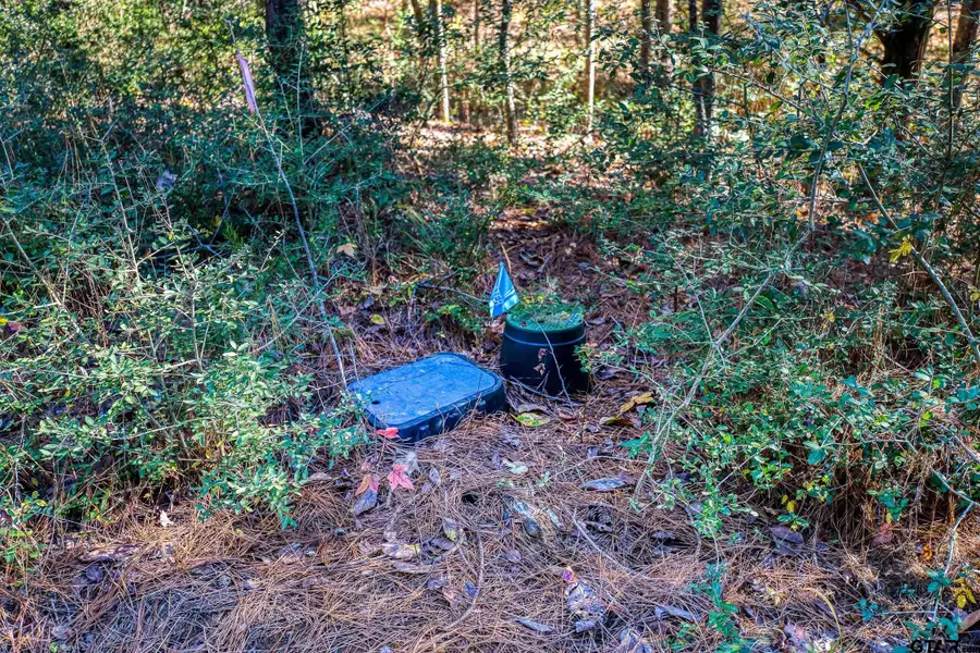 595 An County Road 1773, Grapeland, TX 75844 - Image #2