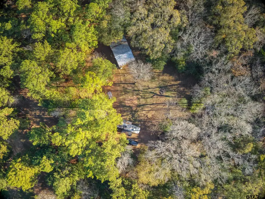 595 An County Road 1773, Grapeland, TX 75844 - Image #3