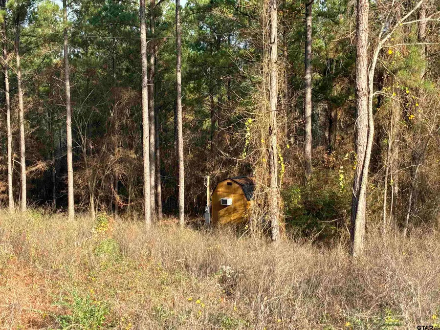 845 George Blvd., Rusk, TX 75785 - Image #3